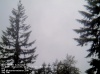 Web Cam Image - Sun, 05/19/2013 3:14am PDT