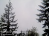 Web Cam Image - Sun, 05/19/2013 3:09am PDT