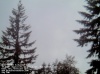 Web Cam Image - Sun, 05/19/2013 2:24am PDT