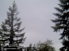 Web Cam Image - Sat, 05/18/2013 6:54pm PDT