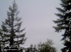 Web Cam Image - Sat, 05/18/2013 6:49pm PDT