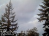 Web Cam Image - Sat, 05/18/2013 5:04pm PDT