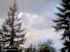 Web Cam Image - Sat, 05/18/2013 4:49pm PDT