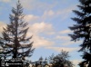Web Cam Image - Sat, 05/18/2013 4:44pm PDT