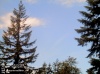 Web Cam Image - Sat, 05/18/2013 4:34pm PDT