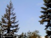 Web Cam Image - Sat, 05/18/2013 4:29pm PDT