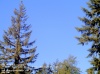 Web Cam Image - Sat, 05/18/2013 4:24pm PDT
