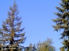 Web Cam Image - Sat, 05/18/2013 4:19pm PDT