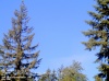 Web Cam Image - Sat, 05/18/2013 4:14pm PDT