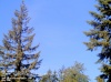 Web Cam Image - Sat, 05/18/2013 4:09pm PDT