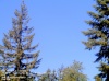 Web Cam Image - Sat, 05/18/2013 3:59pm PDT