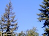 Web Cam Image - Sat, 05/18/2013 3:54pm PDT