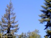 Web Cam Image - Sat, 05/18/2013 3:49pm PDT