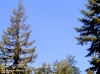 Web Cam Image - Sat, 05/18/2013 3:44pm PDT