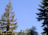 Web Cam Image - Sat, 05/18/2013 3:34pm PDT