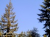 Web Cam Image - Sat, 05/18/2013 3:29pm PDT