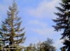 Web Cam Image - Sat, 05/18/2013 3:24pm PDT