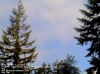 Web Cam Image - Sat, 05/18/2013 3:19pm PDT