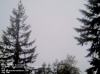 Web Cam Image - Sat, 05/18/2013 3:14pm PDT