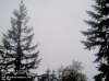 Web Cam Image - Sat, 05/18/2013 3:09pm PDT