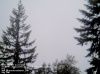 Web Cam Image - Sat, 05/18/2013 3:04pm PDT