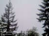 Web Cam Image - Sat, 05/18/2013 2:59pm PDT