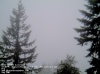 Web Cam Image - Sat, 05/18/2013 2:54pm PDT