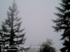 Web Cam Image - Sat, 05/18/2013 2:49pm PDT