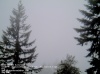 Web Cam Image - Sat, 05/18/2013 2:39pm PDT