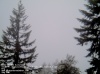 Web Cam Image - Sat, 05/18/2013 2:34pm PDT