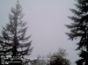 Web Cam Image - Sat, 05/18/2013 2:29pm PDT