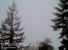 Web Cam Image - Sat, 05/18/2013 2:24pm PDT