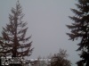 Web Cam Image - Sat, 05/18/2013 2:19pm PDT