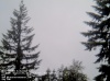 Web Cam Image - Sun, 05/19/2013 3:04am PDT