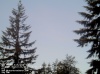 Web Cam Image - Sun, 05/19/2013 12:54am PDT