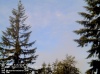 Web Cam Image - Sun, 05/19/2013 12:49am PDT