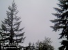 Web Cam Image - Sun, 05/19/2013 2:59am PDT
