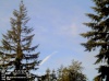Web Cam Image - Sun, 05/19/2013 12:44am PDT