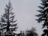 Web Cam Image - Sun, 05/19/2013 12:39am PDT