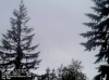 Web Cam Image - Sun, 05/19/2013 12:34am PDT