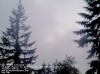 Web Cam Image - Sun, 05/19/2013 12:29am PDT