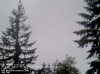 Web Cam Image - Sun, 05/19/2013 12:19am PDT