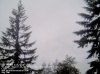 Web Cam Image - Sun, 05/19/2013 12:14am PDT