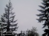 Web Cam Image - Sun, 05/19/2013 2:54am PDT