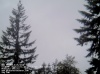 Web Cam Image - Sat, 05/18/2013 11:49pm PDT