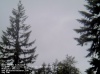 Web Cam Image - Sat, 05/18/2013 11:44pm PDT
