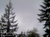 Web Cam Image - Sat, 05/18/2013 11:39pm PDT