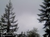 Web Cam Image - Sat, 05/18/2013 11:34pm PDT