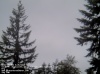Web Cam Image - Sat, 05/18/2013 11:29pm PDT