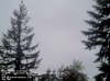 Web Cam Image - Sat, 05/18/2013 11:24pm PDT